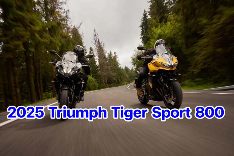 2025 Triumph Tiger Sport 800-1